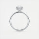 Aurora Hidden Halo Oval Cut Diamond Engagement Ring