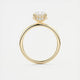 Aurora Hidden Halo Oval Cut Diamond Engagement Ring