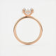 Aurora Hidden Halo Round Cut Diamond Engagement Ring
