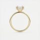 Aurora Hidden Halo Round Cut Diamond Engagement Ring