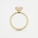 Elsa Eternity Round Cut Diamond Engagement Ring