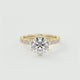 Elsa Eternity Round Cut Diamond Engagement Ring